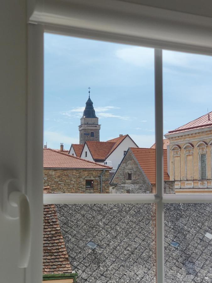 Apartment Knizkovi Slavonice
